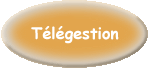 T&eacute;l&eacute;gestion